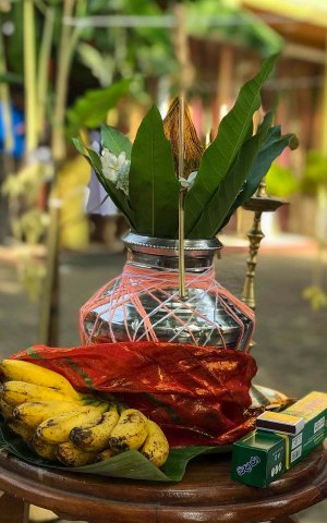 තෛපොංගල් උත්සවය 2020
